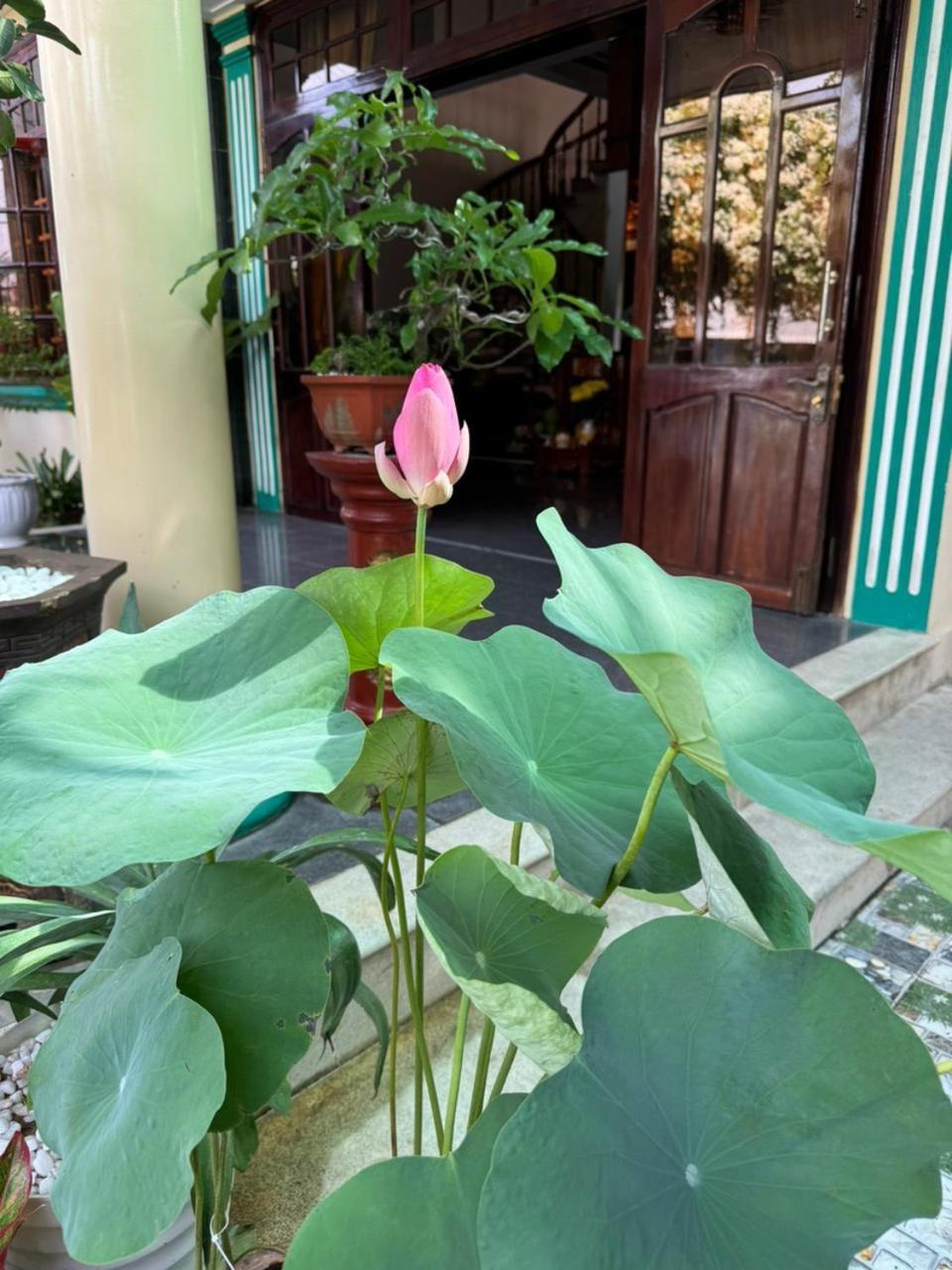 Noel Homestay Tuy Hoa Exterior foto